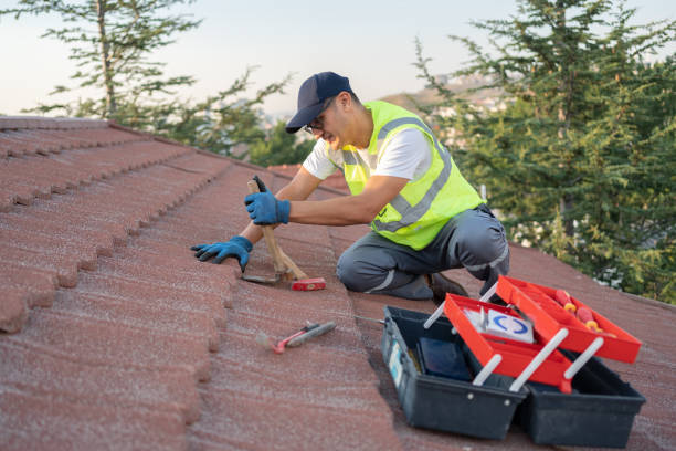 Best Roof Gutter Cleaning  in Whitfield, FL